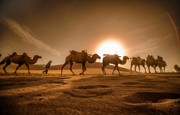 人生就是博国际 “一带一路”倡议培训平台